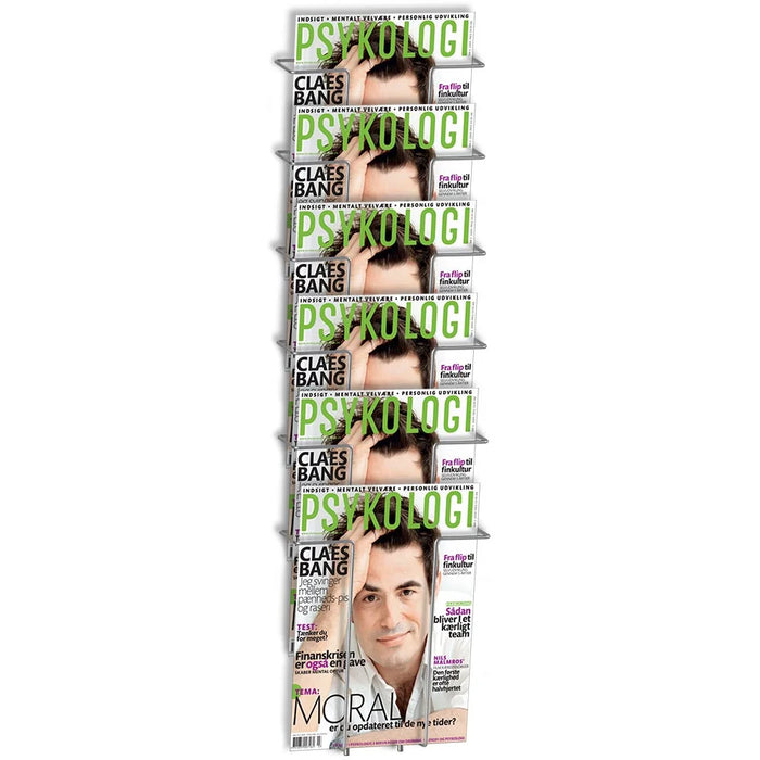 Wand-Prospekthalter aus Draht mit 6 DIN A4 Fächern in Silber für Zeitschriften, Magazine, Broschüren und Prospekte in Wartezimmern, Praxen und Verkaufsräumen