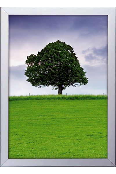 Doppelseitiger Schaufensterrahmen 32 mm in Silber mit Baum-Motiv im Hochformat