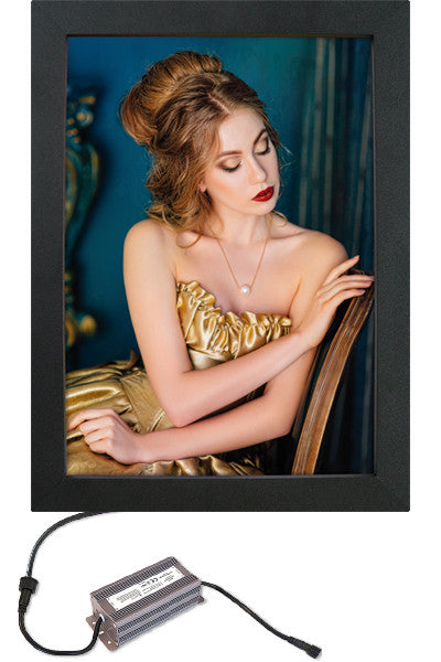 LED-Leuchtkasten Crown als Hängeschild für den Außenbereich - A0