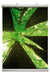 Posterleisten Aluminium Poster-Line zur professionellen Posteraufhängung